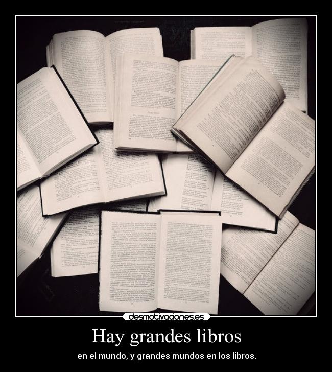 carteles mundo literatura perfecto libros hobby aficion desmotivaciones