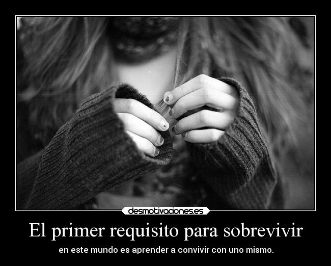 carteles mundo vida convivir desmotivaciones