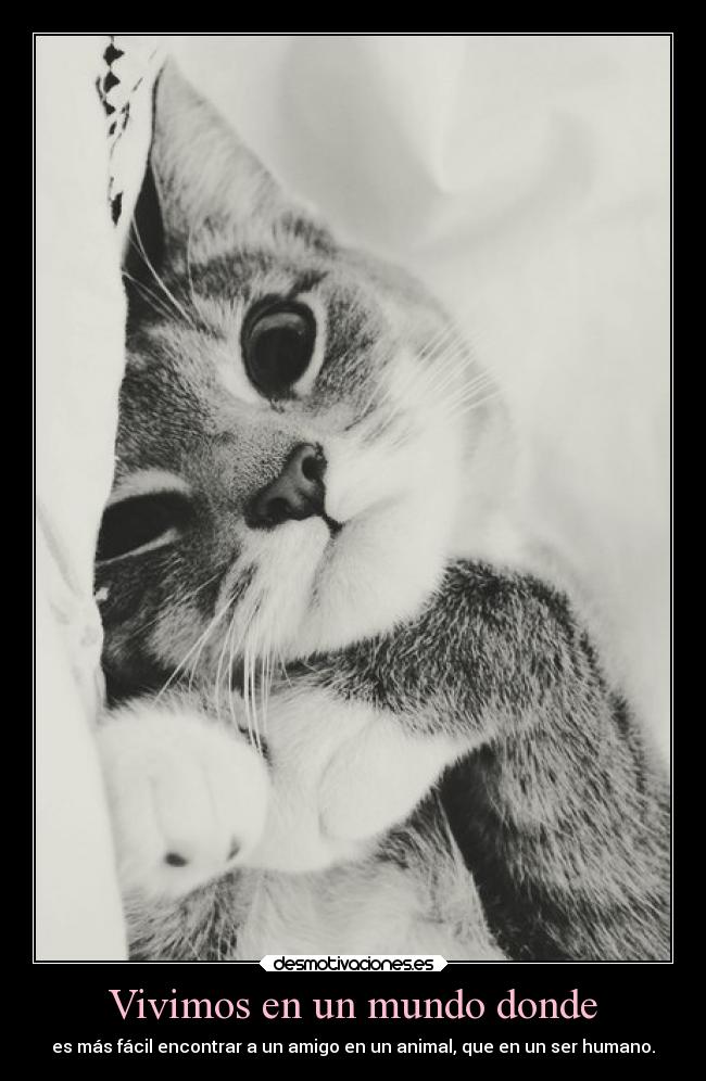 Vivimos en un mundo donde - 