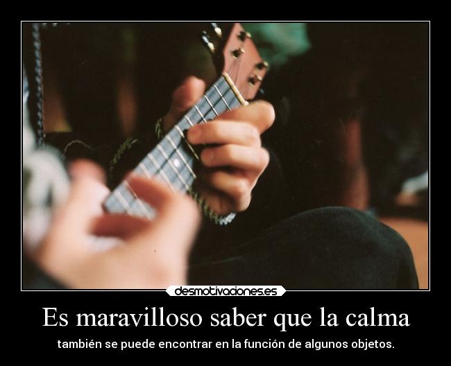 carteles musica miedo deportes enemigo bogota animales objetos calma estupidarazon eso desmotivaciones