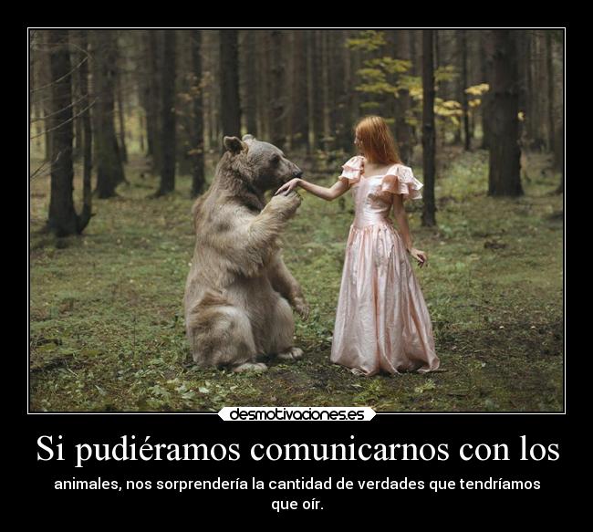 carteles naturaleza animales medioambiente ambiente arya115 somoslopeorquelehapasadoalplaneta desmotivaciones