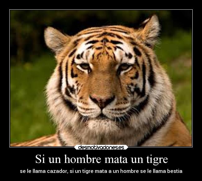 Si un hombre mata un tigre -