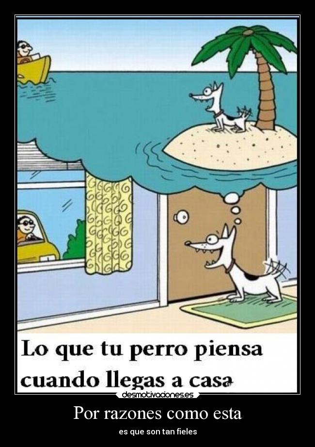 carteles naturaleza desmotivaciones