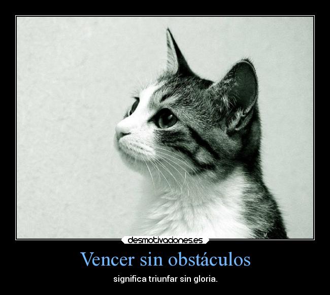 carteles obstaculos obstaculos gatos vencer gloria triunfo guebolucionarios jarl desmotivaciones