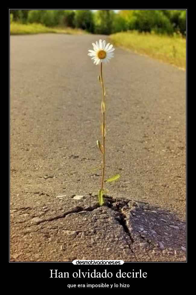 Han olvidado decirle - que era imposible y lo hizo