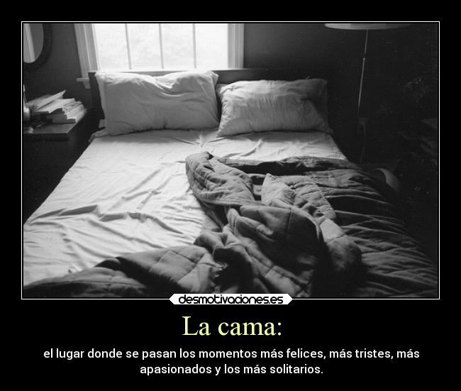 carteles pasado politica problemas sociedad confianza desmotivaciones