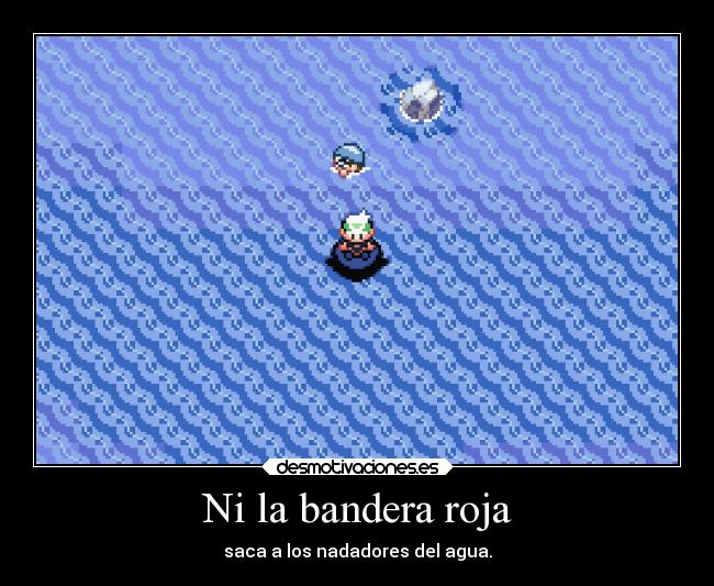 Ni la bandera roja - saca a los nadadores del agua.