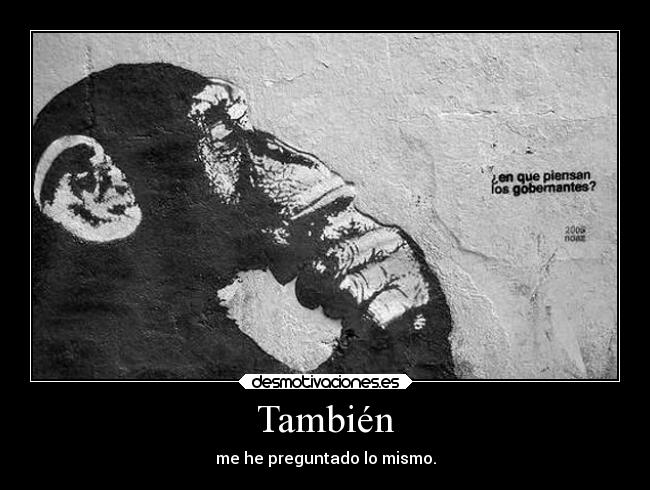 También - me he preguntado lo mismo.