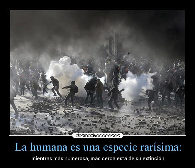 carteles politica odio mundo ignorancia guerra desmotivaciones