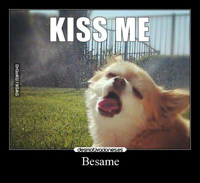 carteles risa desmotivaciones