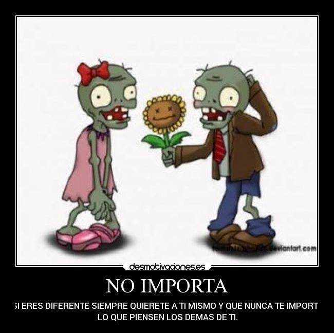 NO IMPORTA - 