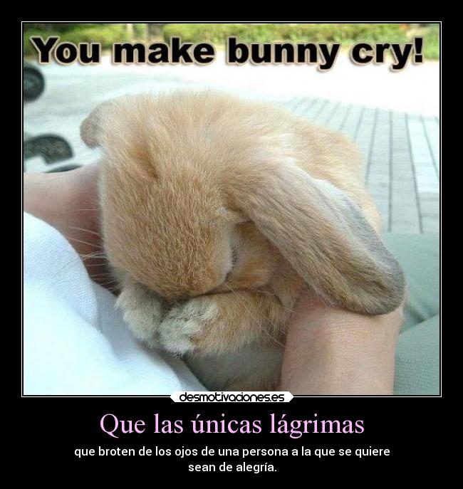 Que las únicas lágrimas - que broten de los ojos de una persona a la que se quiere
sean de alegría.