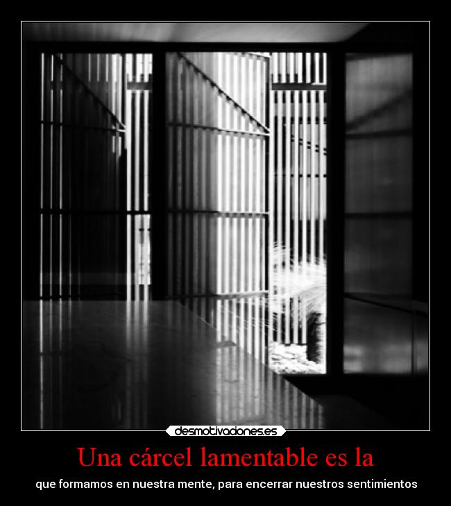 carteles sentimientos desmotivado15 desmotivaciones