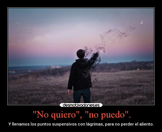 No quiero, no puedo. -