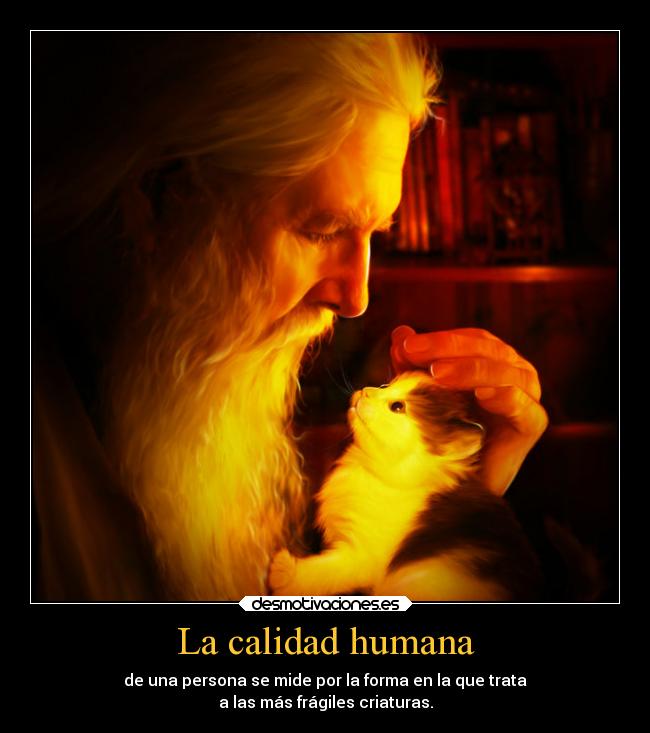 La calidad humana - 