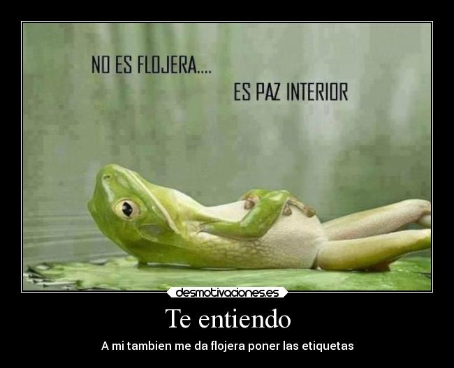 Te entiendo - A mi tambien me da flojera poner las etiquetas