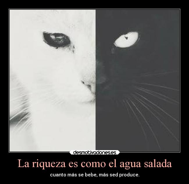 carteles sociedad desmotivaciones debilidad dinero desmotivaciones