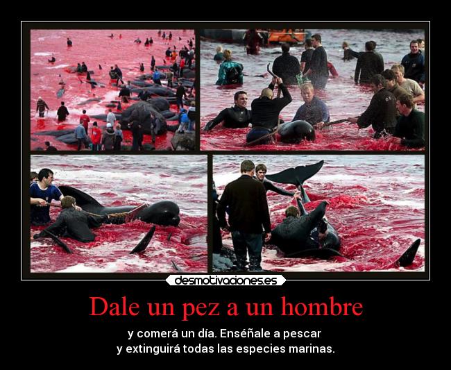 Dale un pez a un hombre - y comerá un día. Enséñale a pescar 
y extinguirá todas las especies marinas.