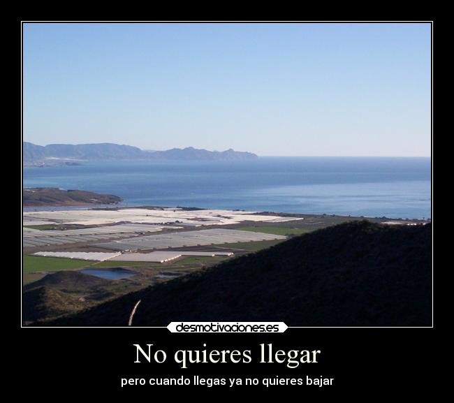 carteles soledad desmotivaciones