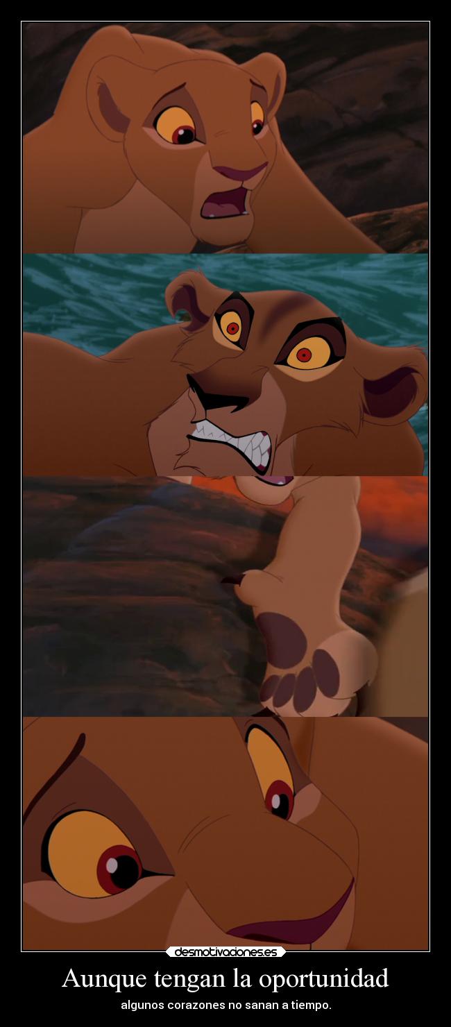 Aunque tengan la oportunidad - algunos corazones no sanan a tiempo.