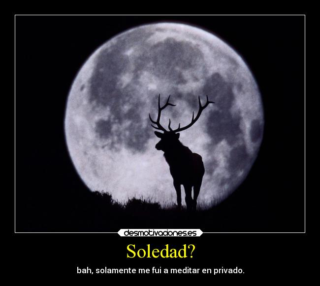 Soledad? - bah, solamente me fui a meditar en privado.
