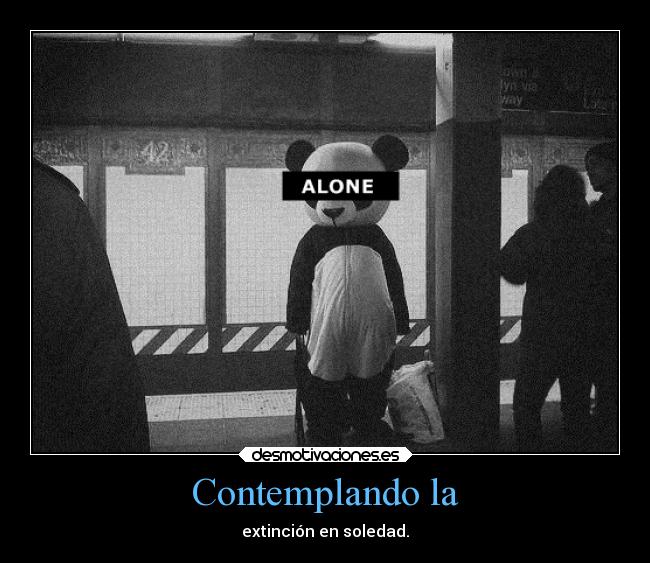 Contemplando la - extinción en soledad.