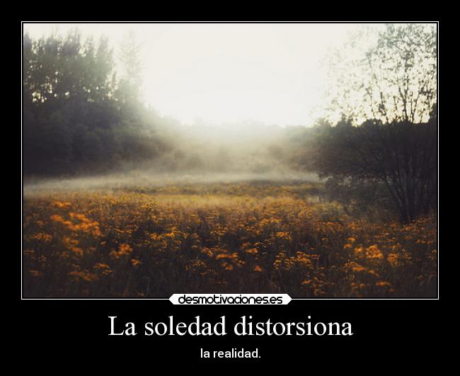 La soledad distorsiona -