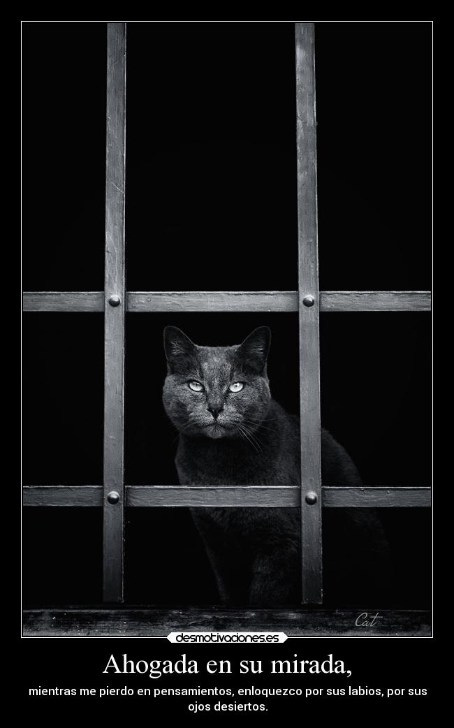 Ahogada en su mirada, -