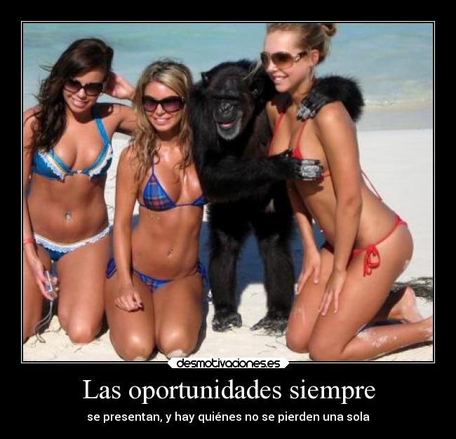 Las oportunidades siempre - 