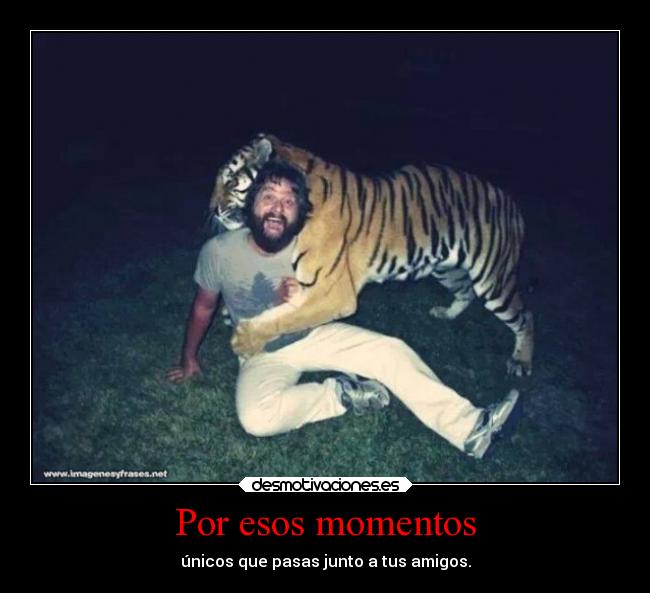 Por esos momentos - únicos que pasas junto a tus amigos.