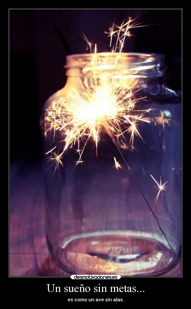 Un sueño sin metas... - es como un ave sin alas.