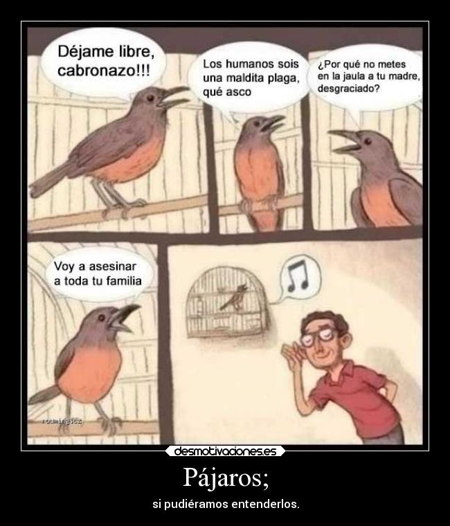 Pájaros; - 
