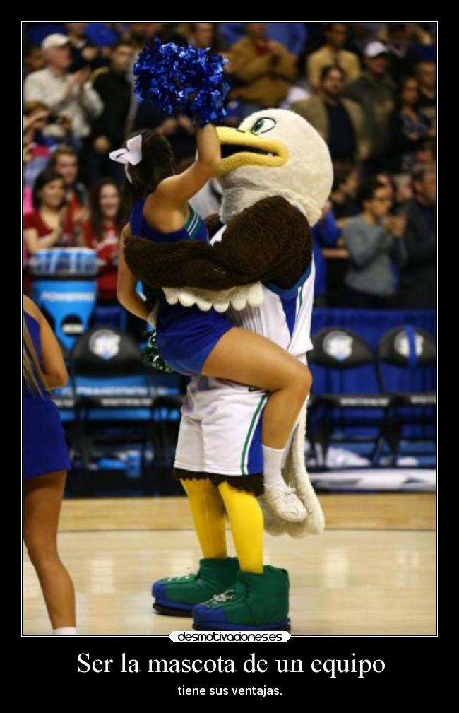 Ser la mascota de un equipo - tiene sus ventajas.