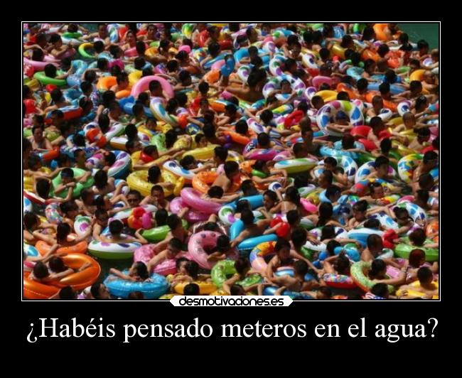 ¿Habéis pensado meteros en el agua? - 