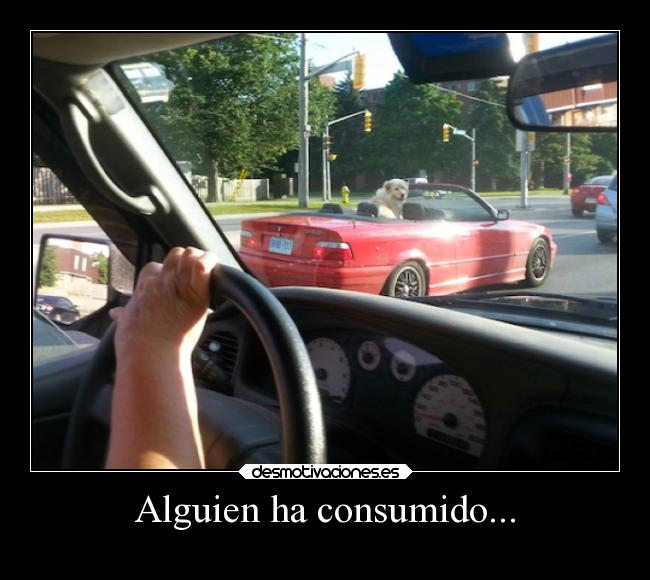 Alguien ha consumido... - 