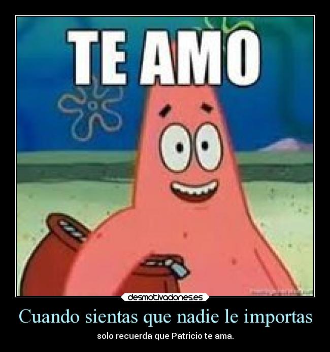 carteles tonto desmotivaciones