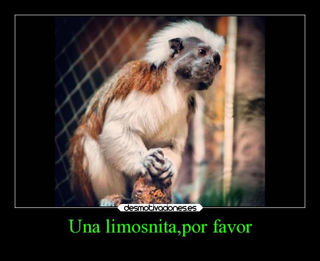 carteles tristeza comida destino dios dinero animales pobreza hambre desmotivaciones