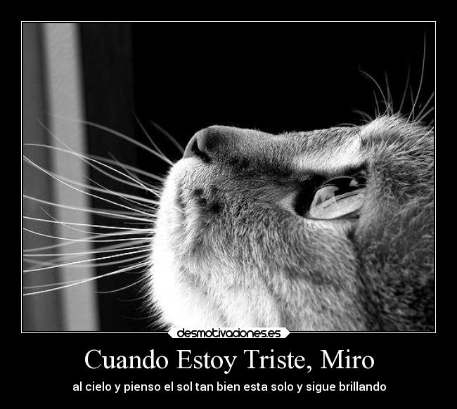 carteles tristeza cuando estoy triste miro desmotivaciones