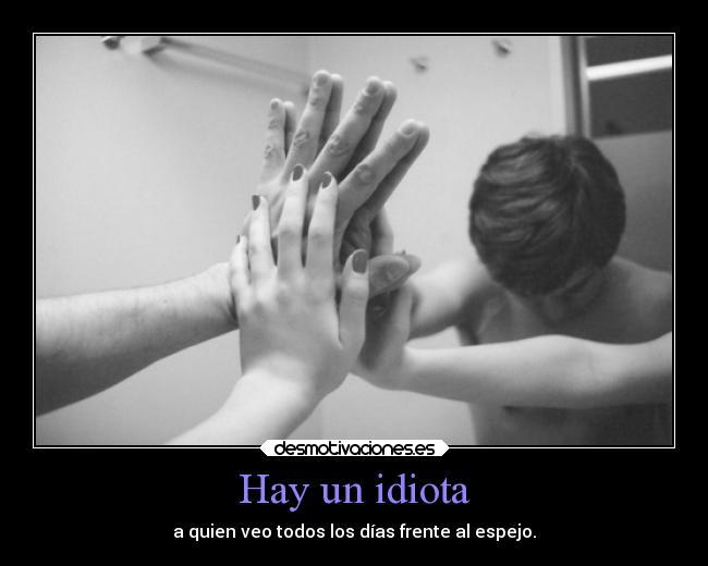 Hay un idiota - a quien veo todos los días frente al espejo.