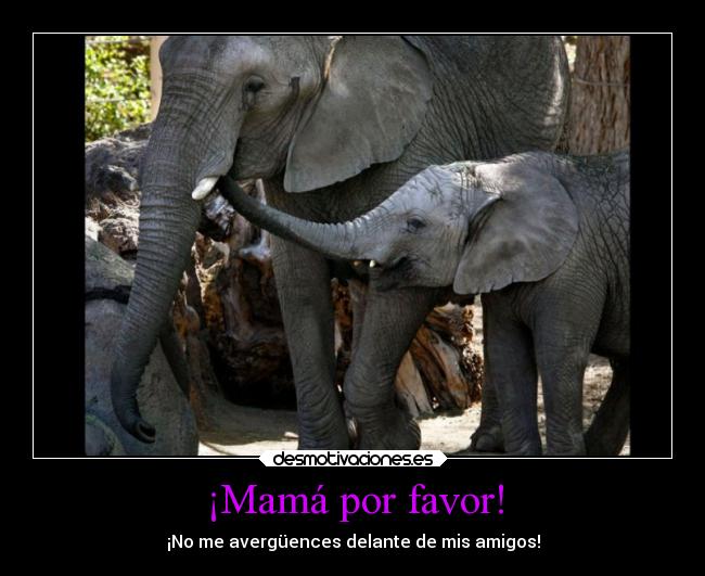 carteles tristeza infancia amigos familia madre verguenza desmotivaciones