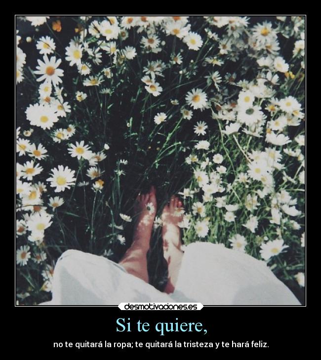 Si te quiere, - no te quitará la ropa; te quitará la tristeza y te hará feliz.