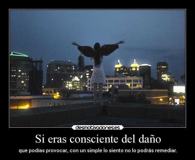 Si eras consciente del daño - que podías provocar, con un simple lo siento no lo podrás remediar.