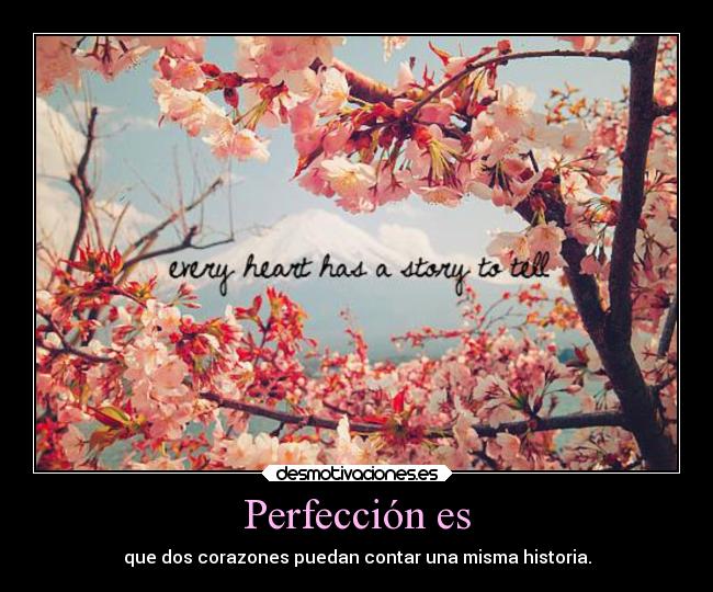 Perfección es - que dos corazones puedan contar una misma historia.