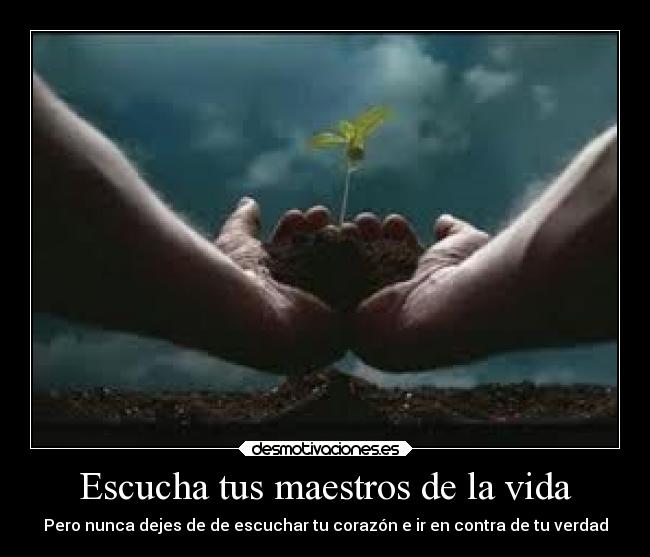 Escucha tus maestros de la vida - Pero nunca dejes de de escuchar tu corazón e ir en contra de tu verdad