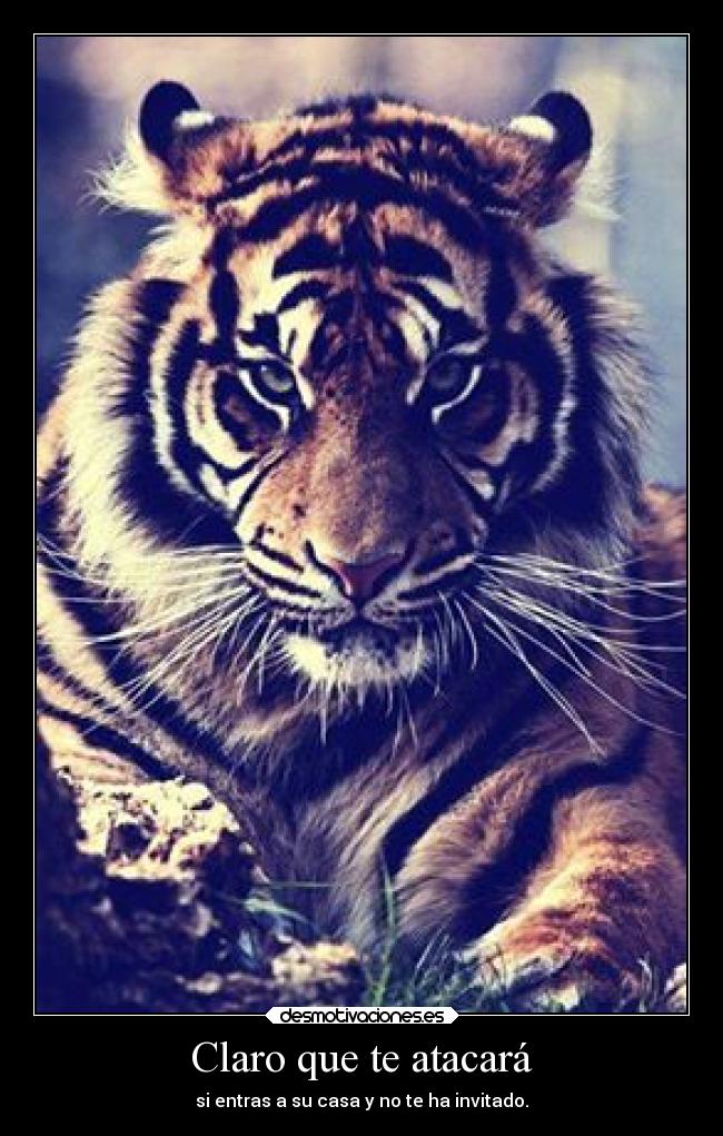 Claro que te atacará - si entras a su casa y no te ha invitado.