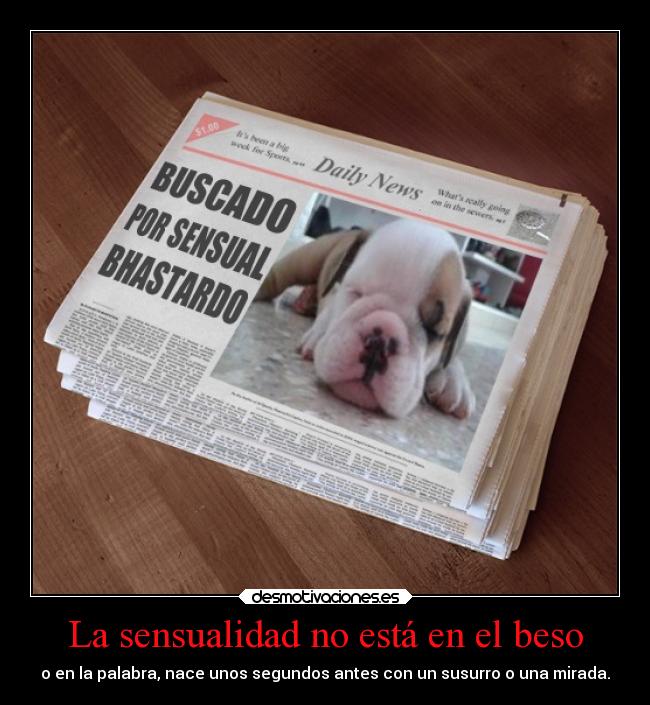 La sensualidad no está en el beso - o en la palabra, nace unos segundos antes con un susurro o una mirada.