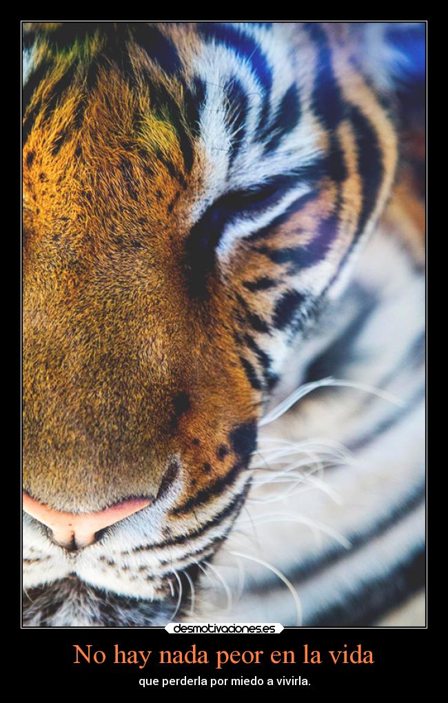No hay nada peor en la vida - 