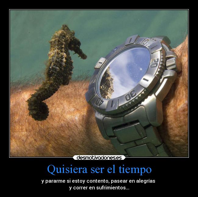 Quisiera ser el tiempo - 