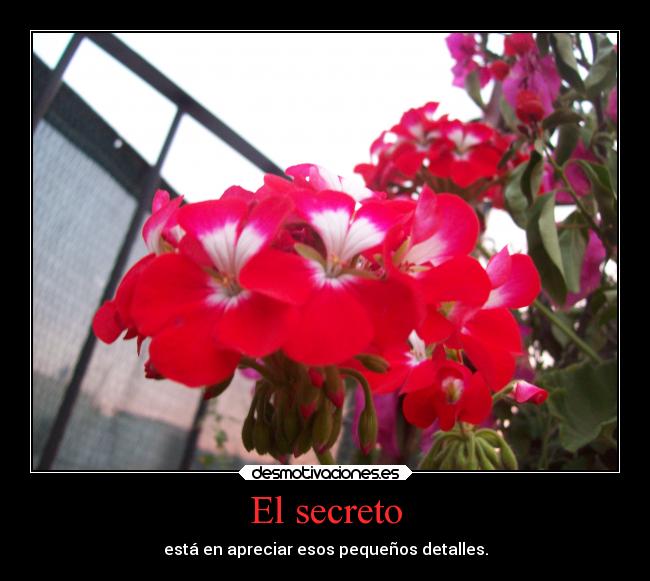 El secreto - está en apreciar esos pequeños detalles.