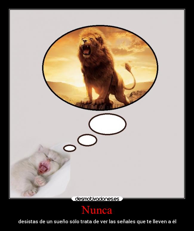 Nunca - desistas de un sueño sólo trata de ver las señales que te lleven a él